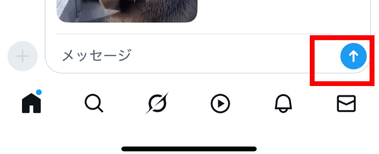 X,チャット,ベータとは